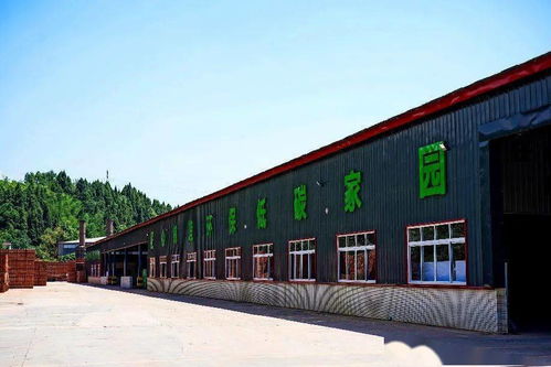 四川建園建材公司 園林式磚廠，顛覆傳統建材行業